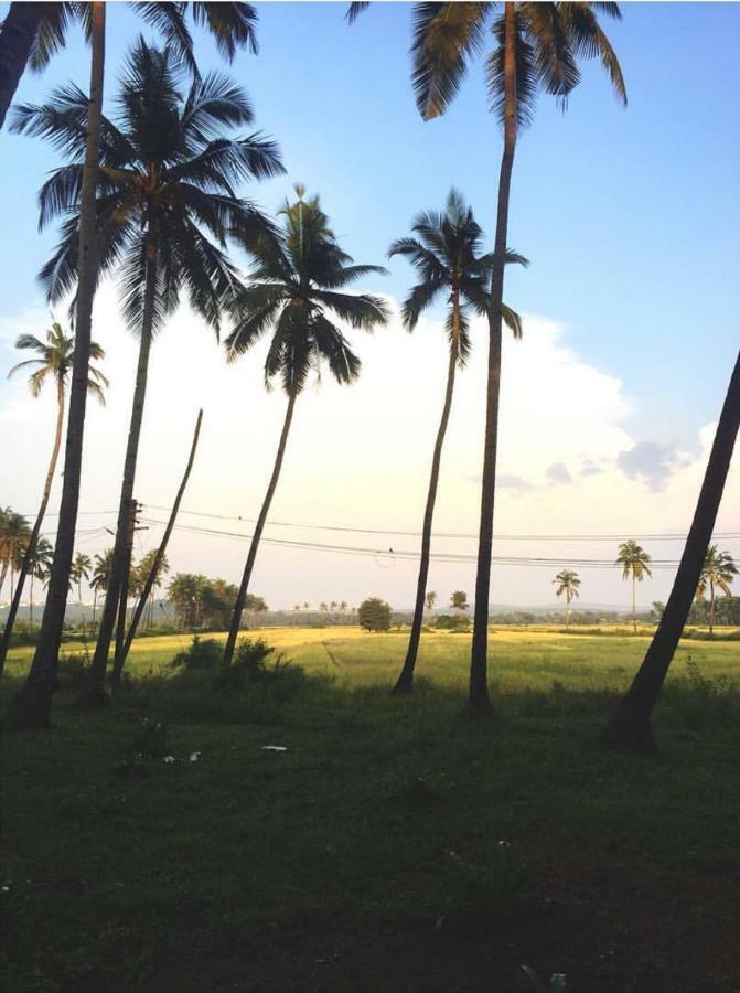The Postcard Cuelim, Goa Hotel Cansaulim Ngoại thất bức ảnh