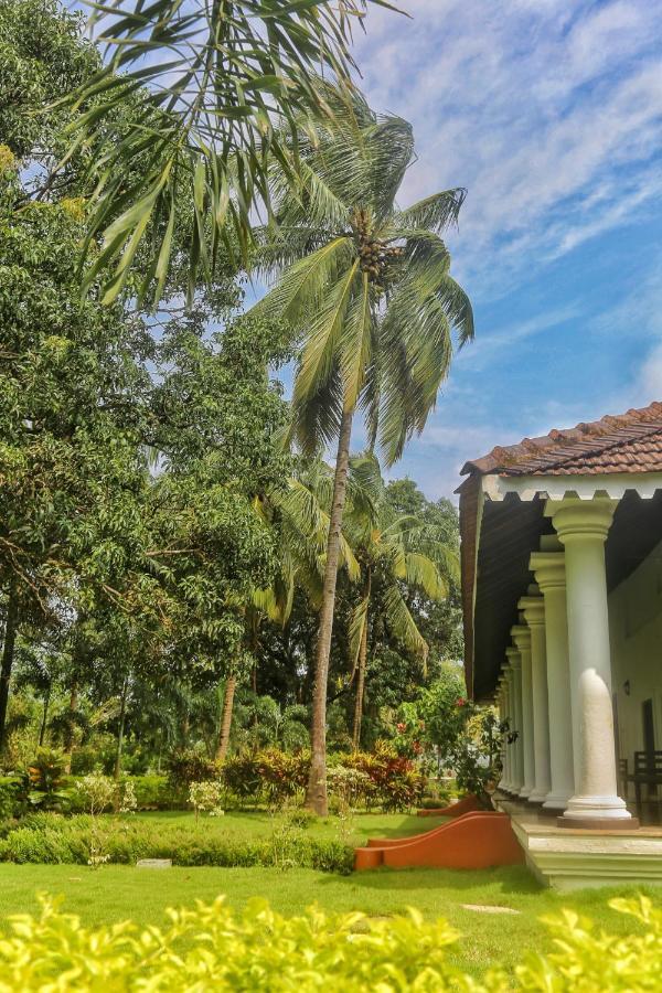 The Postcard Cuelim, Goa Hotel Cansaulim Ngoại thất bức ảnh